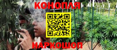 бошки Пенза