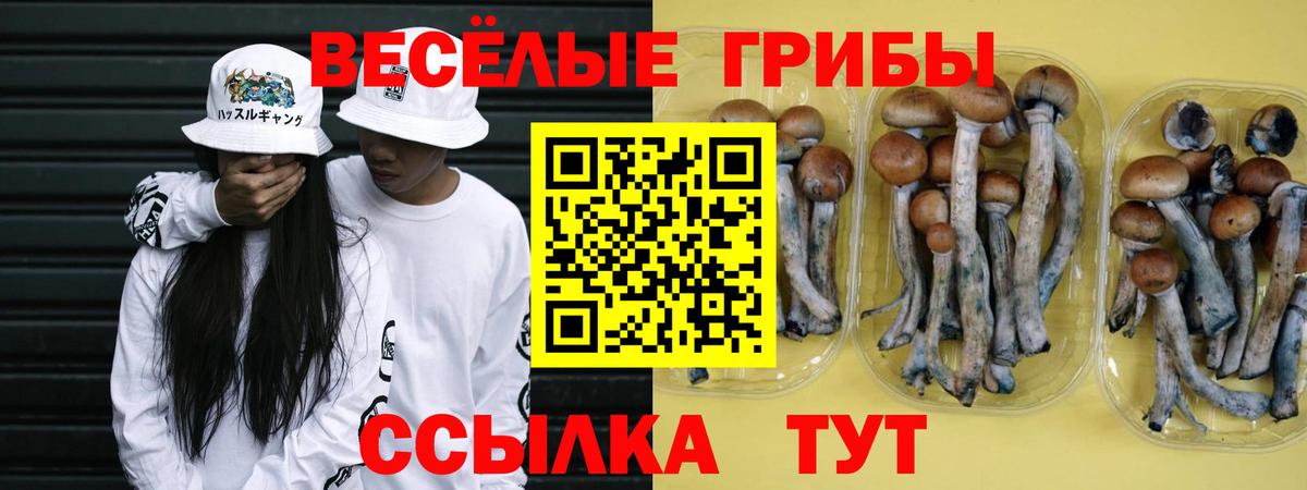 Старый Оскол  Галлюциногенные грибы мухоморы  купить  сайты  Вход с VPN 